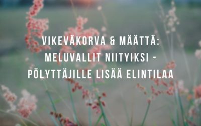 Valtuustoaloite: Tienvarsien meluvallit pölyttäjähyönteisille sopiviksi elinympäristöiksi – niityiksi